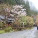 位於：京都市左京区花脊原地町375 的美山莊，坐落於自然山野之中。